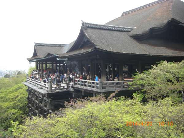 Highlight Tour of Kyoto