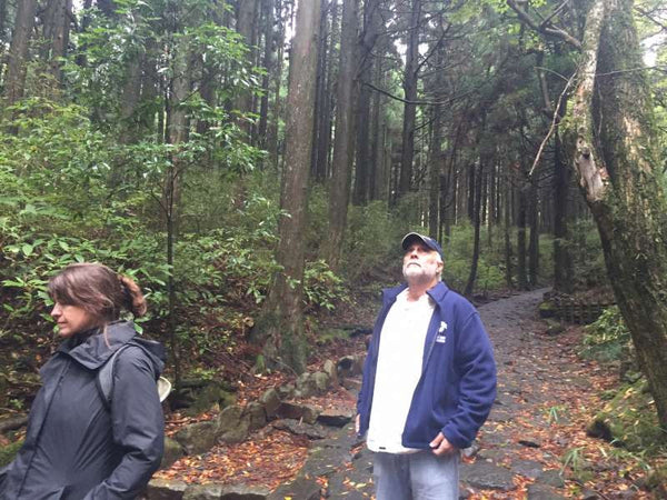 Hakone full day tour by private guide