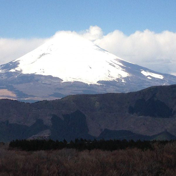 Breathtaking View of Mt. Fuji, Hot Springs & the Great Nature of Hakone