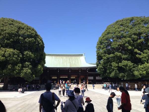The Magnificent Meiji Shrine and the fashionable area of Shibuya and Harajuku