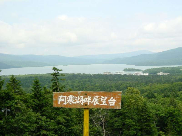 Enjoy hot springs and mysterious Marimo observation at Akan lake ( for 2 days )