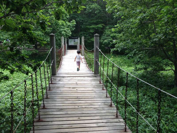 Enjoy walking tour in Kushiro marshland and visit observatories including best-kept secret spots