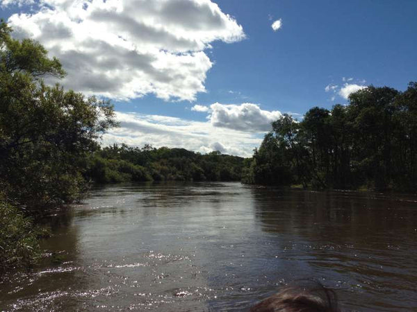Enjoy walking tour in Kushiro marshland and visit observatories including best-kept secret spots