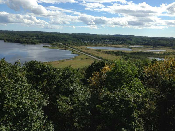 Enjoy walking tour in Kushiro marshland and visit observatories including best-kept secret spots